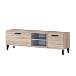 Ahana Modern TV Stand