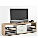 Camryn Modern TV Stand