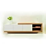 Chani Modern TV Stand