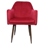 Hanner Velvet Armchair