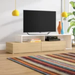 Fred Modern TV Stand