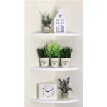 Wall Shelf WS 37