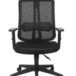 Titan Pro Mesh Executive Chair