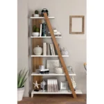 Dodds Modern Bookshelf
