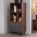 Manito Modern Bookshelf