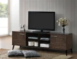 Xan Modern TV Stand