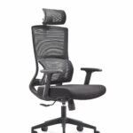 ErgoMesh Executive Chair