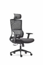 ErgoMesh Executive Chair