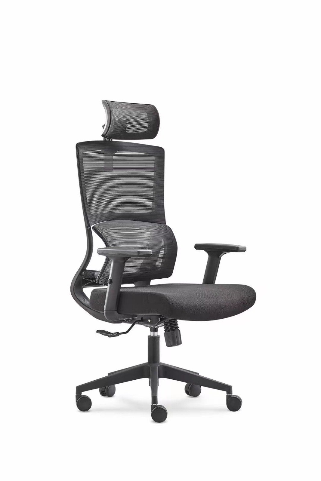73 ErgoMesh Executive Chair - Image 1