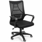 Apex Meeting Chair